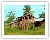 mangyan