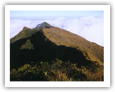mt halcon