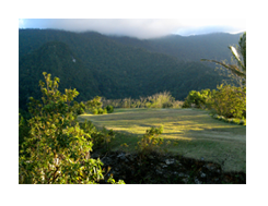 ponderosa golf