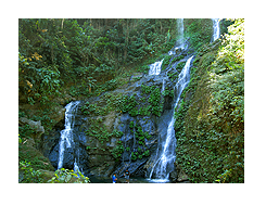tamaraw falls