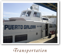 travel transportation