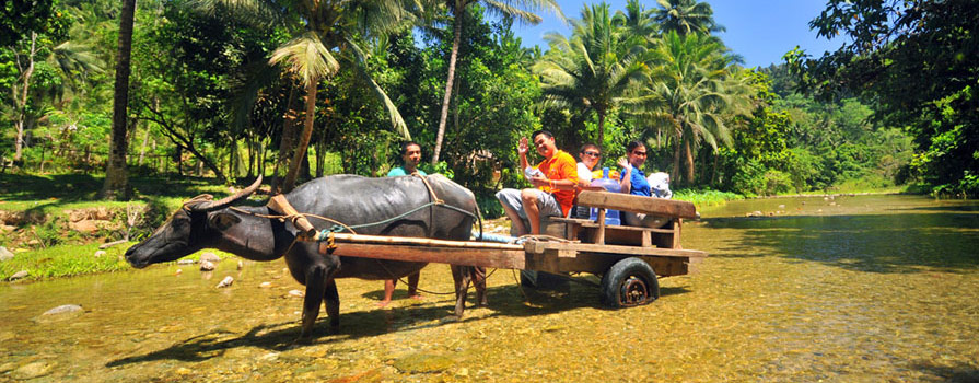 Puerto Galera Golf