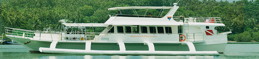 Dive Safari
