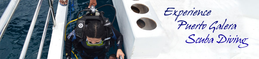 mvdiver