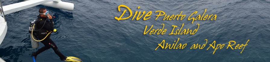 Dive Safari Puerto Galera - Verde Island - Anilao